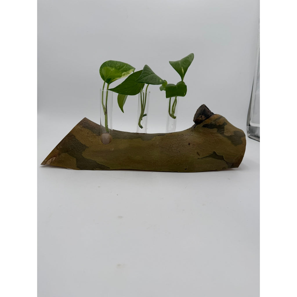 Rustic Log Propagation Station with Glass Tubes, bud vase display, rooted cuttings holder, dried flower centerpiece, farmhouse decor