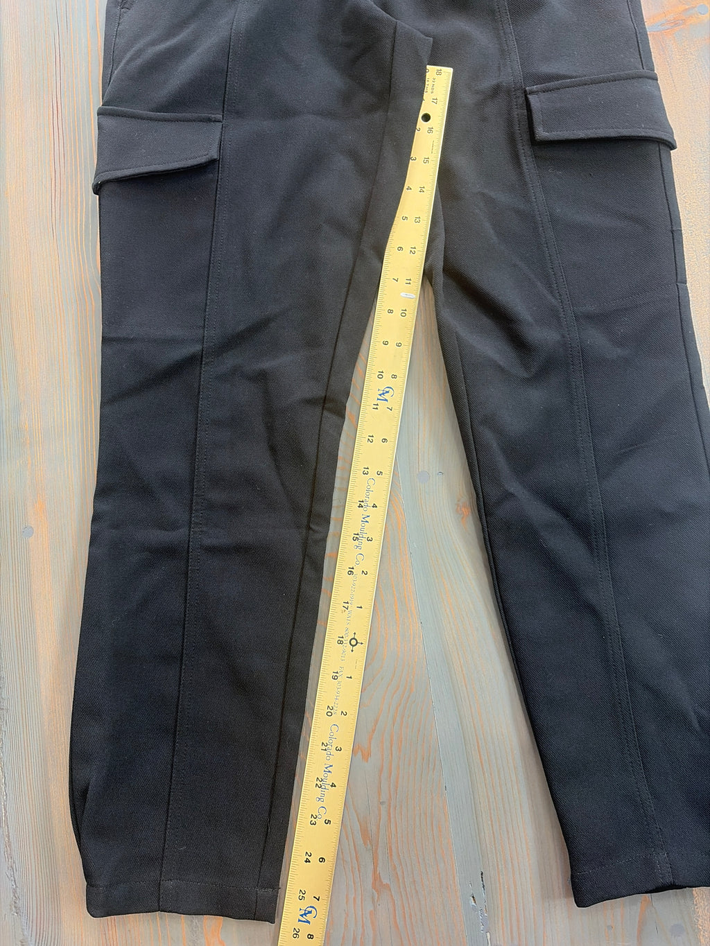 Sanctuary Clothing Polished Cargo - Size 24 - NWT