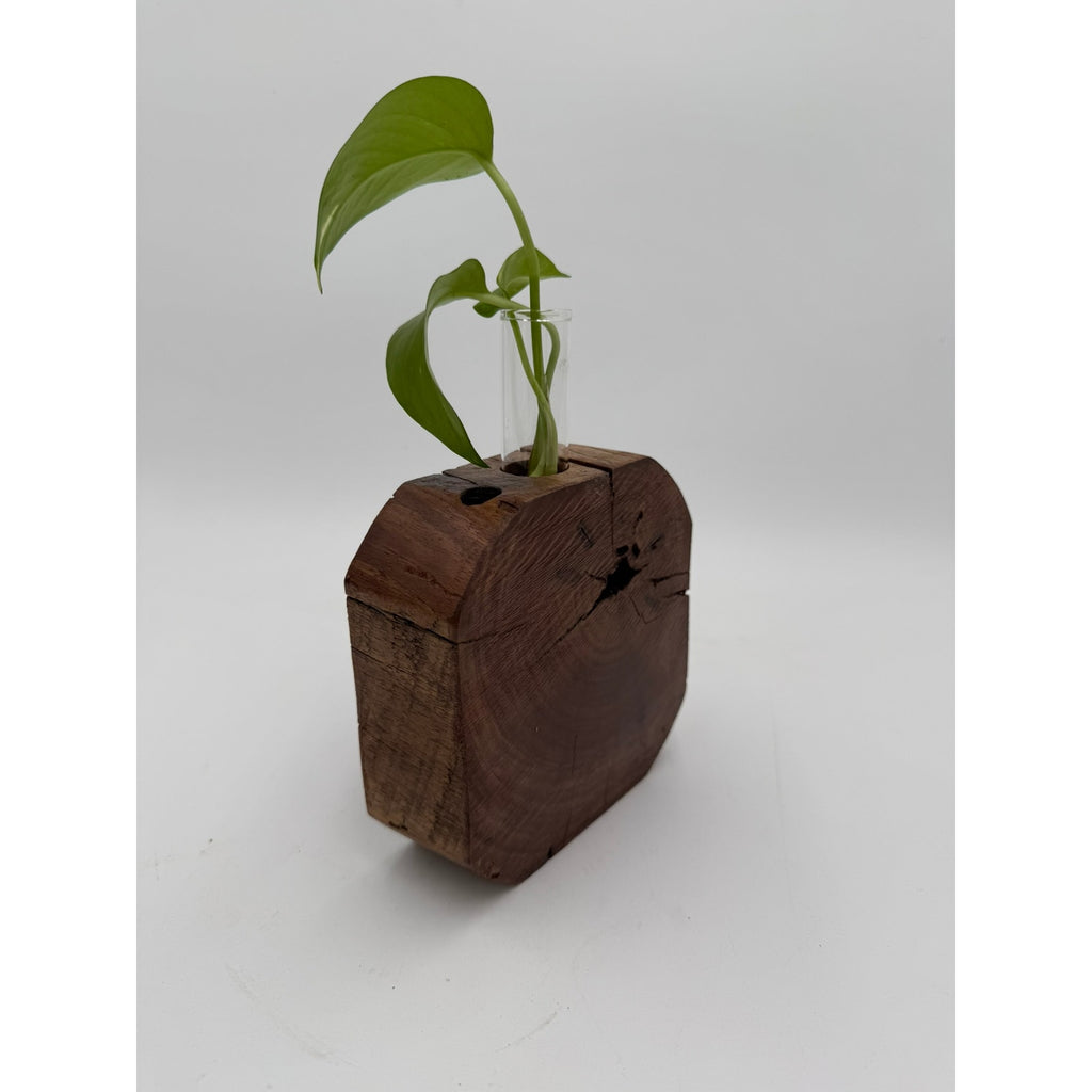 Rustic Wood Propagation Station Bud Vase, 6x2.5 size, single glass tube, functional decor, use for cuttings or dried flowers