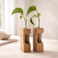 Maple Propagation Station Pair with Bud Vases, 3x1.75x10 inches, contemporary decor, functional, unique gift, test tube planters