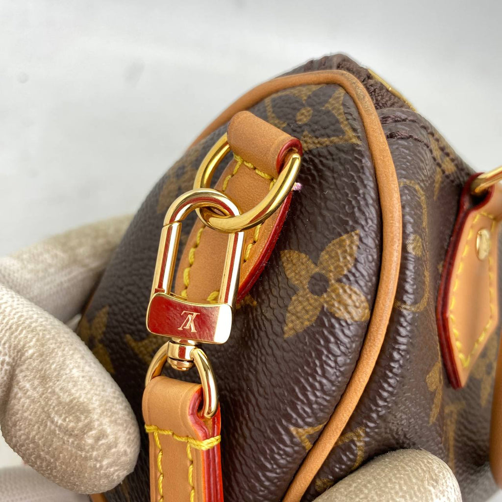 6511 - Louis Vuitton Monogram Vivienne Nano Speedy - Limited Edition