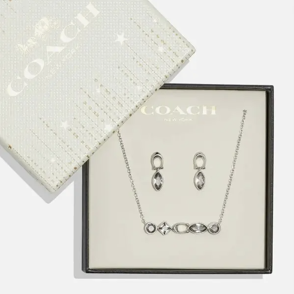 Coach New York Gemstone Necklace & Earring Set - Silver Tone - New in Box