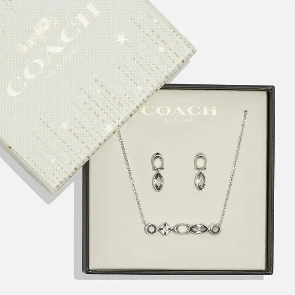 Coach New York Gemstone Necklace & Earring Set - Silver Tone - New in Box