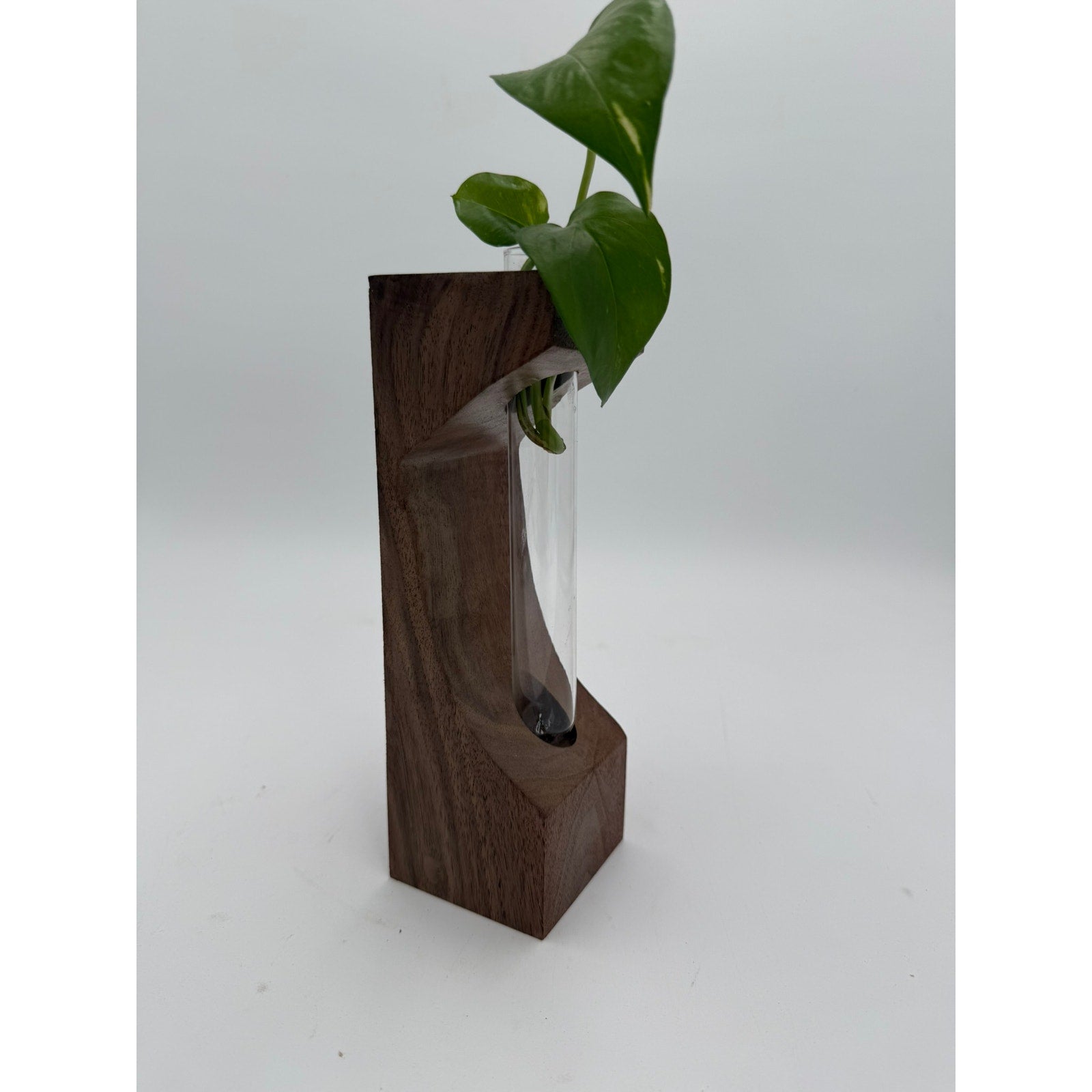 Walnut Propagation Station with Glass Tube, 3x3x9 inches, modern decor, functional bud vase, minimalist planter