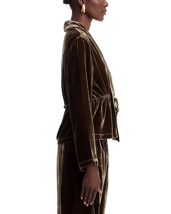 Eileen Fisher High Collar Velvet Jacket Wren - Size XS - NWT