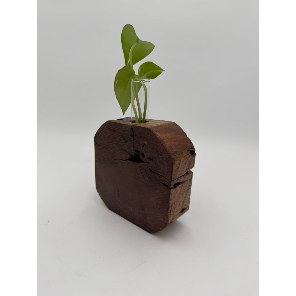 Rustic Wood Propagation Station Bud Vase, 6x2.5 size, single glass tube, functional decor, use for cuttings or dried flowers