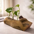 Rustic Log Propagation Station with Glass Tubes, bud vase display, rooted cuttings holder, dried flower centerpiece, farmhouse decor
