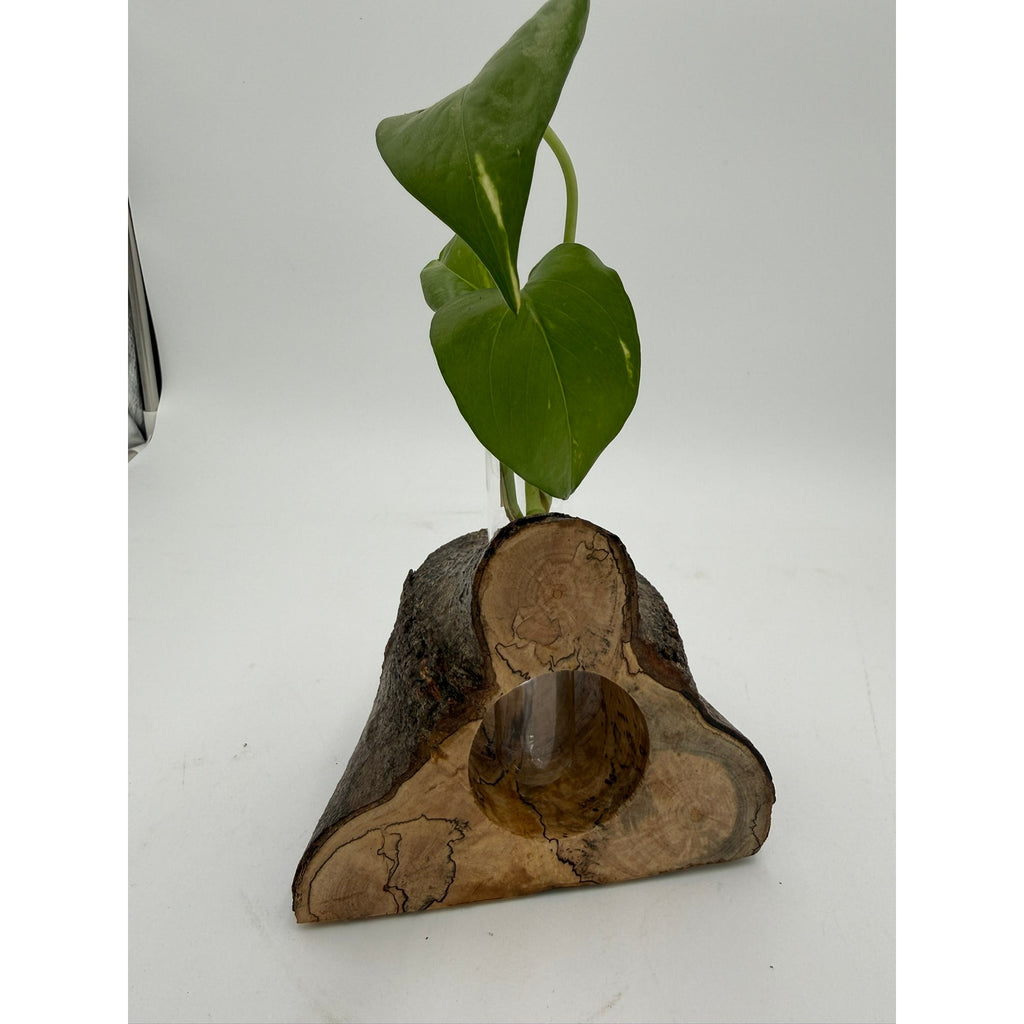 Rustic Wood Propagation Station Bud Vase, 6x4 size, functional decor, use to propagate cuttings, display dried flowers