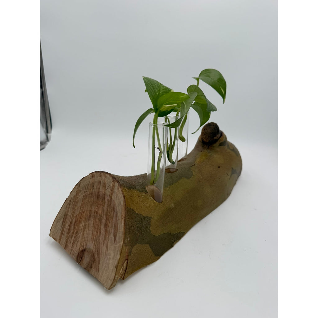 Rustic Log Propagation Station with Glass Tubes, bud vase display, rooted cuttings holder, dried flower centerpiece, farmhouse decor