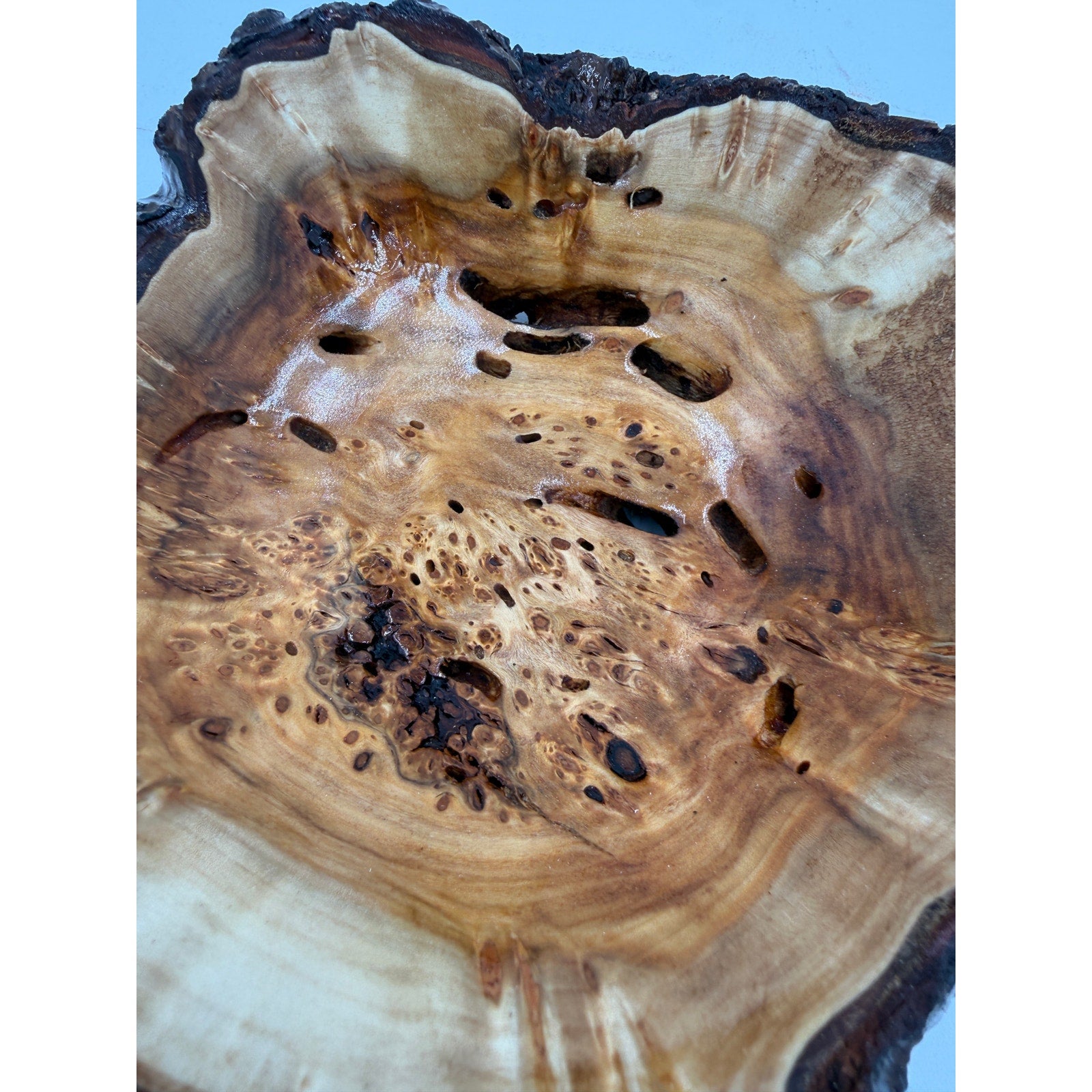 Live Edge Willow Burl Hand Turned Bowl, decorative centerpiece, 7" x 3" size, natural bark rim, handcrafted wood art