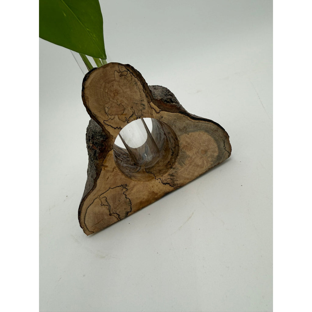 Rustic Wood Propagation Station Bud Vase, 6x4 size, functional decor, use to propagate cuttings, display dried flowers