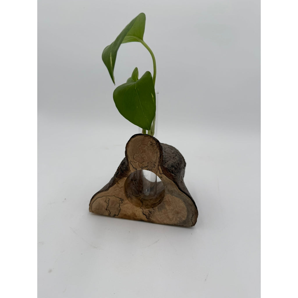 Rustic Wood Propagation Station Bud Vase, 6x4 size, functional decor, use to propagate cuttings, display dried flowers