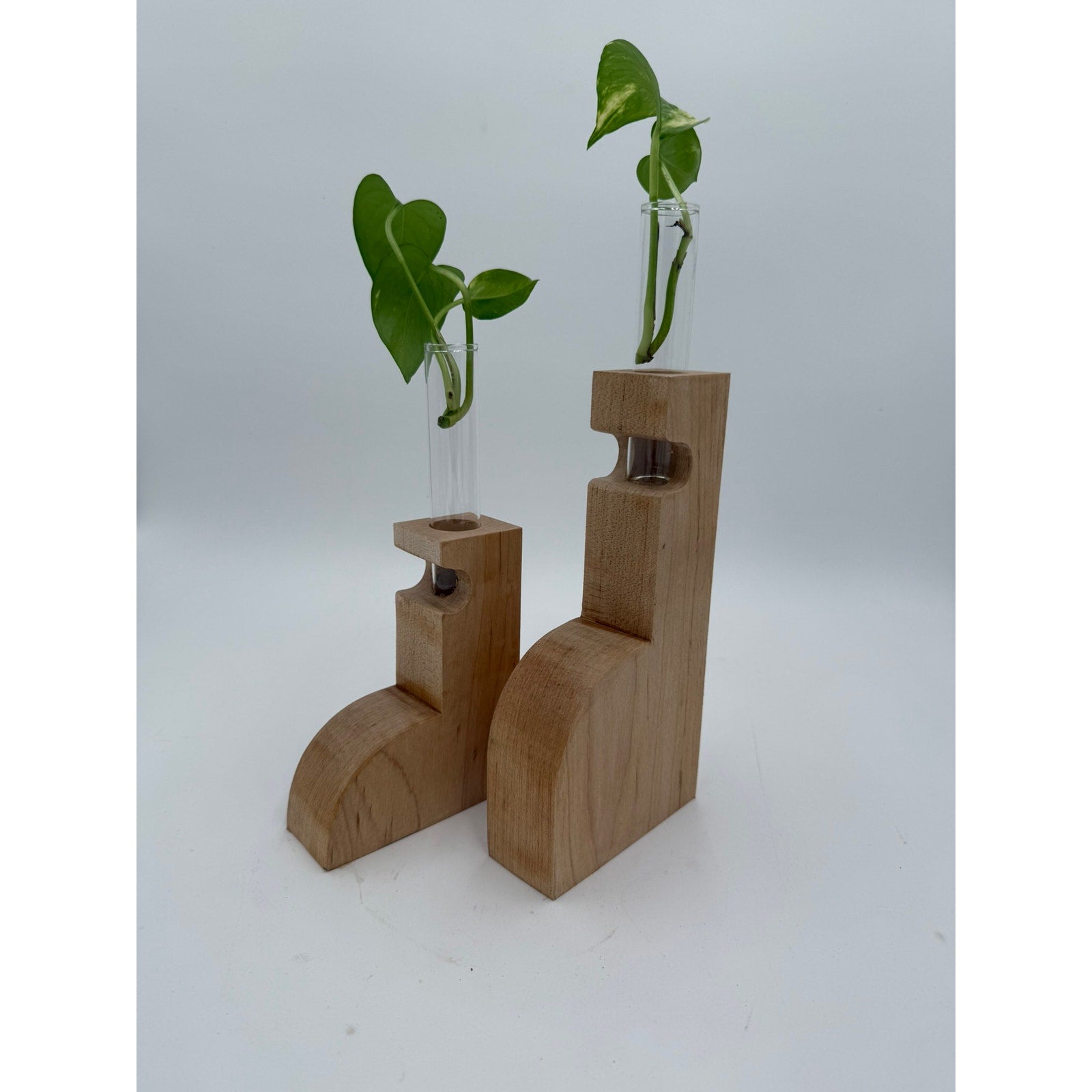 Maple Propagation Station Pair for Cuttings, contemporary wood bud vases, test tube planters, decorative duo, functional home decor