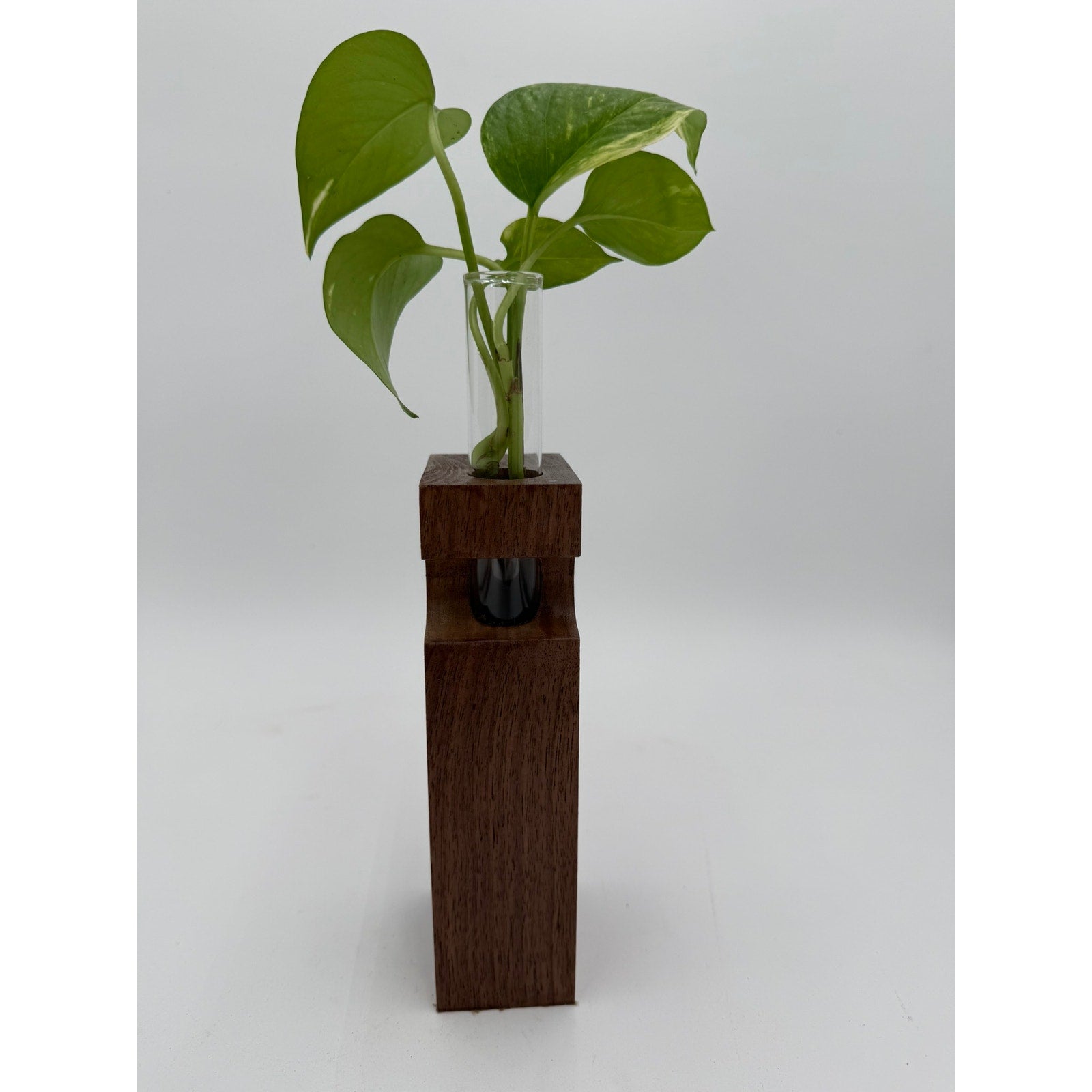 Walnut Propagation Station Block Vase, 2x3x10, contemporary minimal decor, test tube bud vase, functional gift