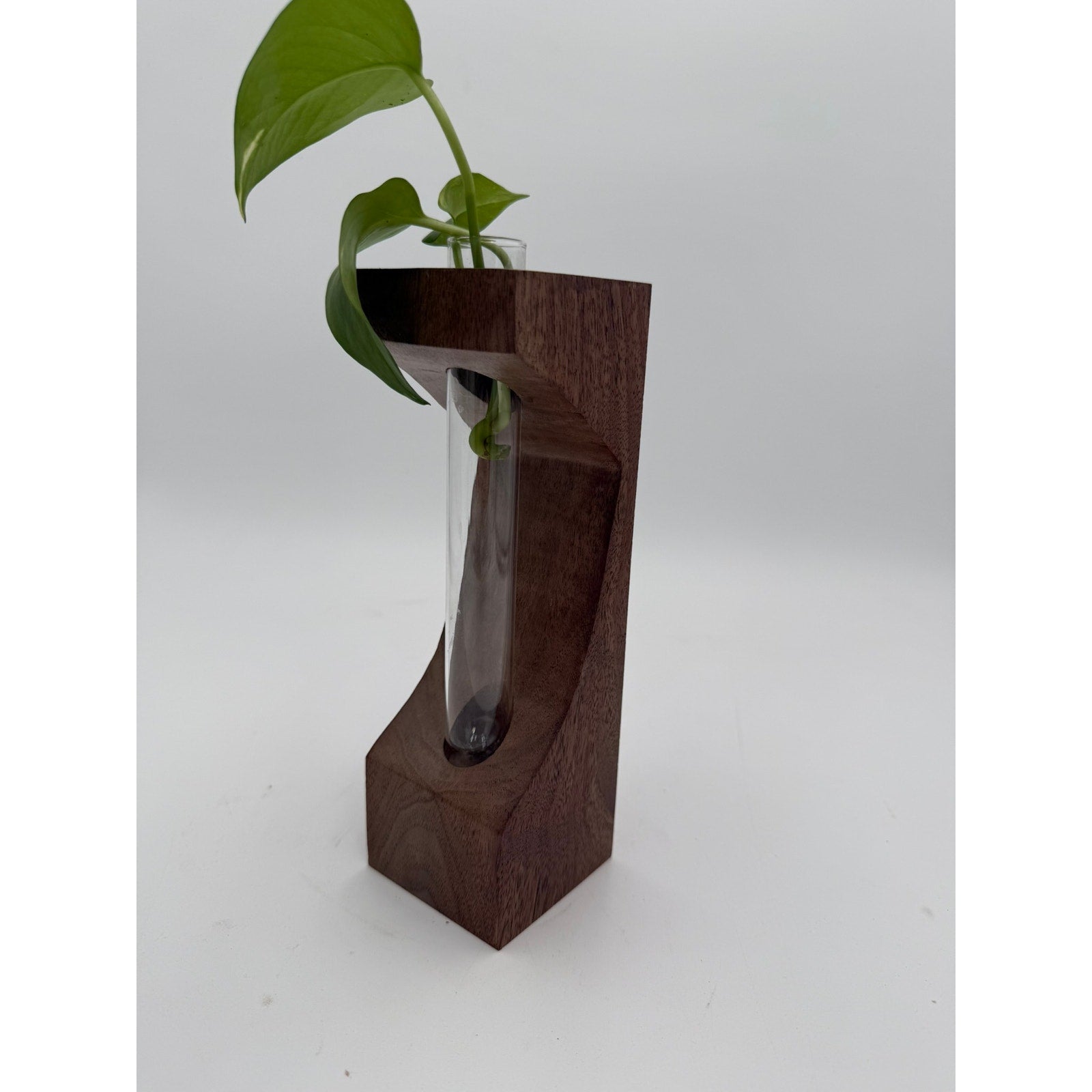 Walnut Propagation Station with Glass Tube, 3x3x9 inches, modern decor, functional bud vase, minimalist planter