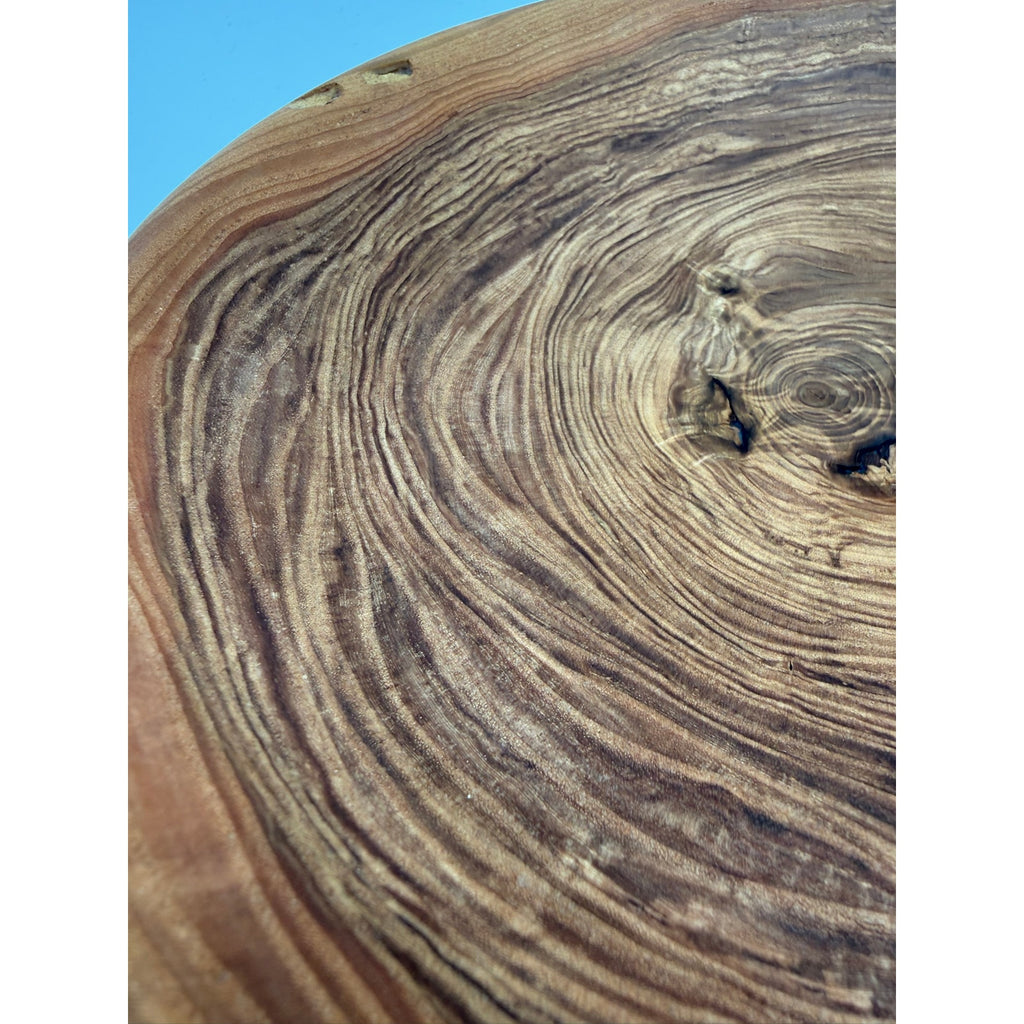 Hand Turned Honey Locust Wood Bowl 9.5 x 2, rustic centerpiece, serving bowl, decorative home, food safe finish