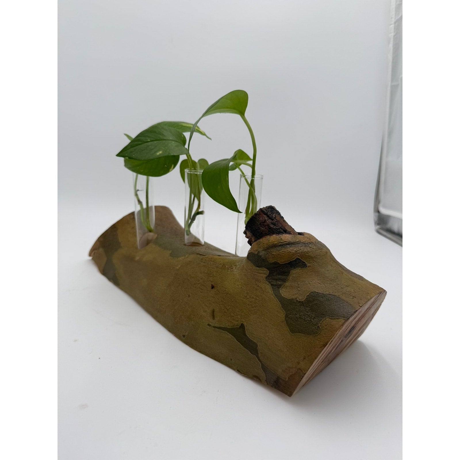 Rustic Log Propagation Station with Glass Tubes, bud vase display, rooted cuttings holder, dried flower centerpiece, farmhouse decor