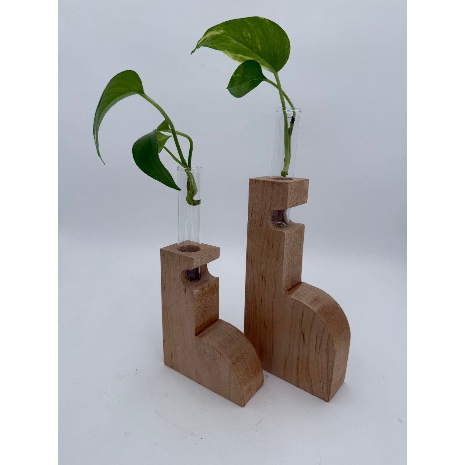 Maple Propagation Station Pair for Cuttings, contemporary wood bud vases, test tube planters, decorative duo, functional home decor