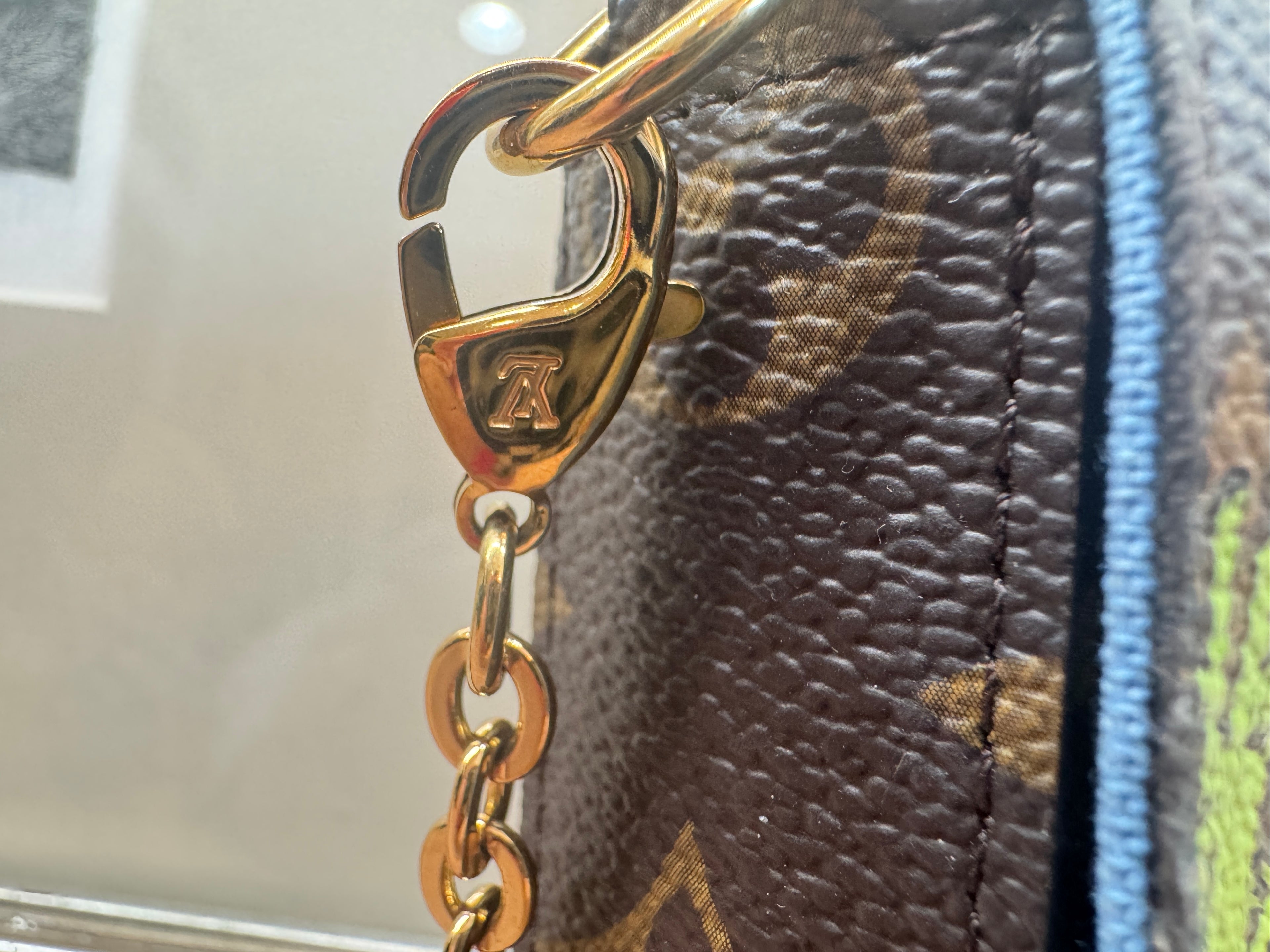 Louis Vuitton Felicie Vivienne with inserts