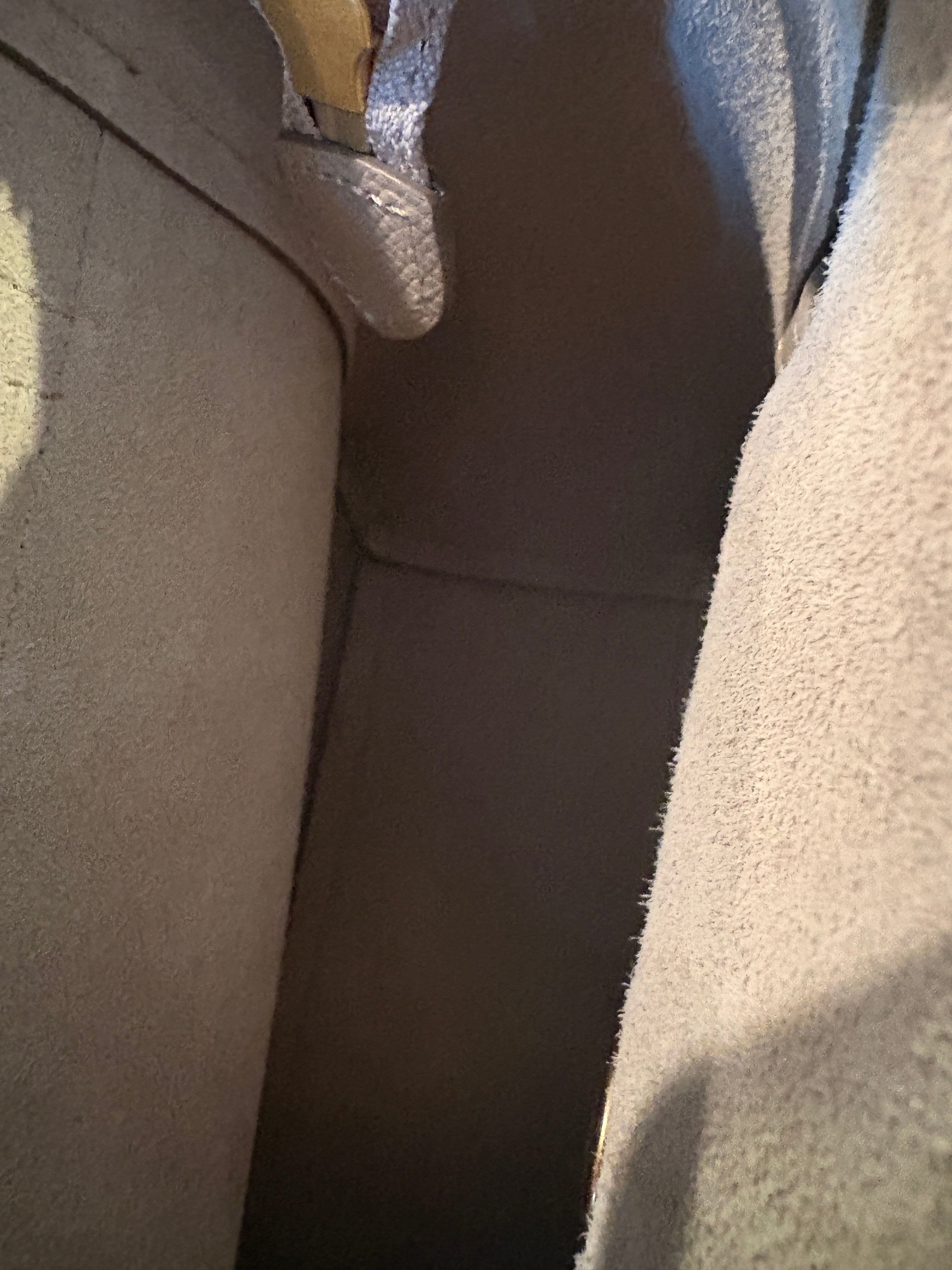 Celine Nano Belt Bag in Light Taupe