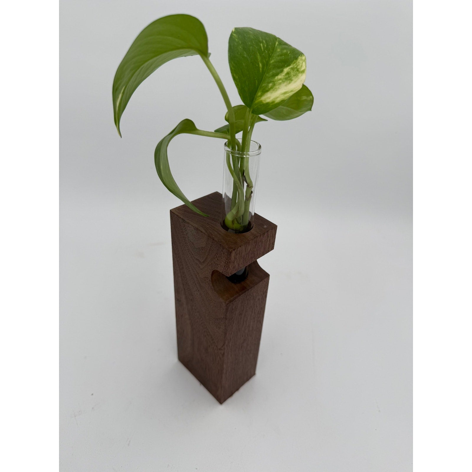 Walnut Propagation Station Block Vase, 2x3x10, contemporary minimal decor, test tube bud vase, functional gift