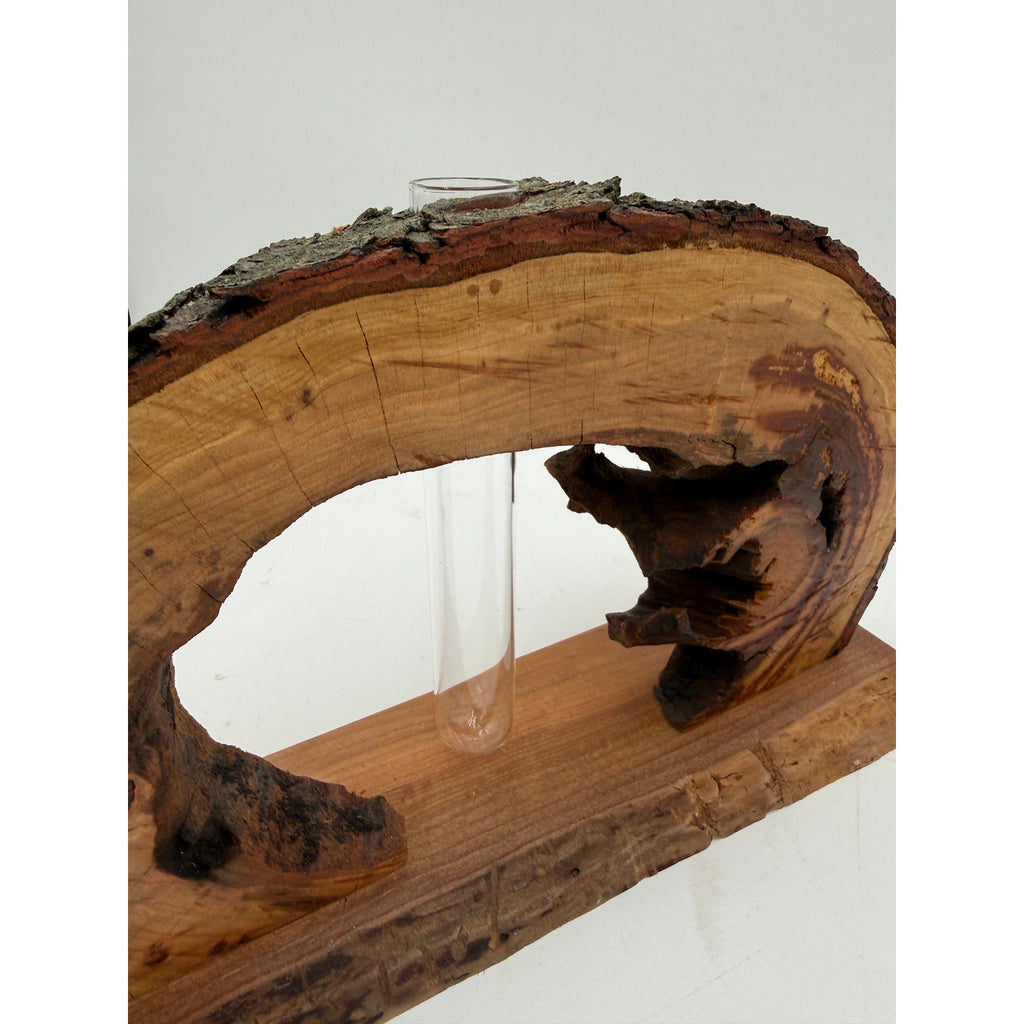 Live Edge Black Cherry Log Bud Vase and Stand, hollow log sculpture, glass propagation tube, rustic mantel decor, 16 x 9 x 4 in