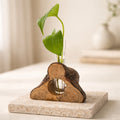 Rustic Wood Propagation Station Bud Vase, 6x4 size, functional decor, use to propagate cuttings, display dried flowers