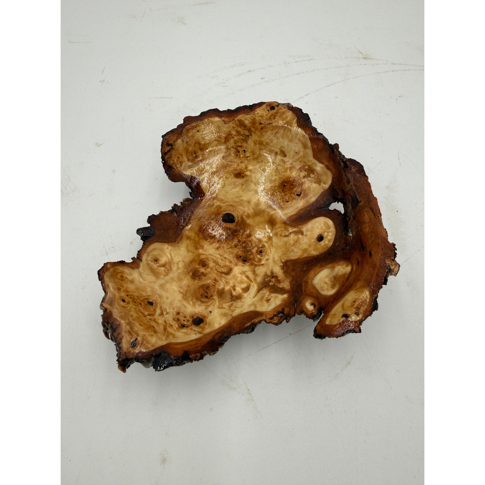 Live Edge Birch Burl Cap Decorative Bowl, 7" x 2", hand turned wood, natural edge centerpiece, handcrafted gift