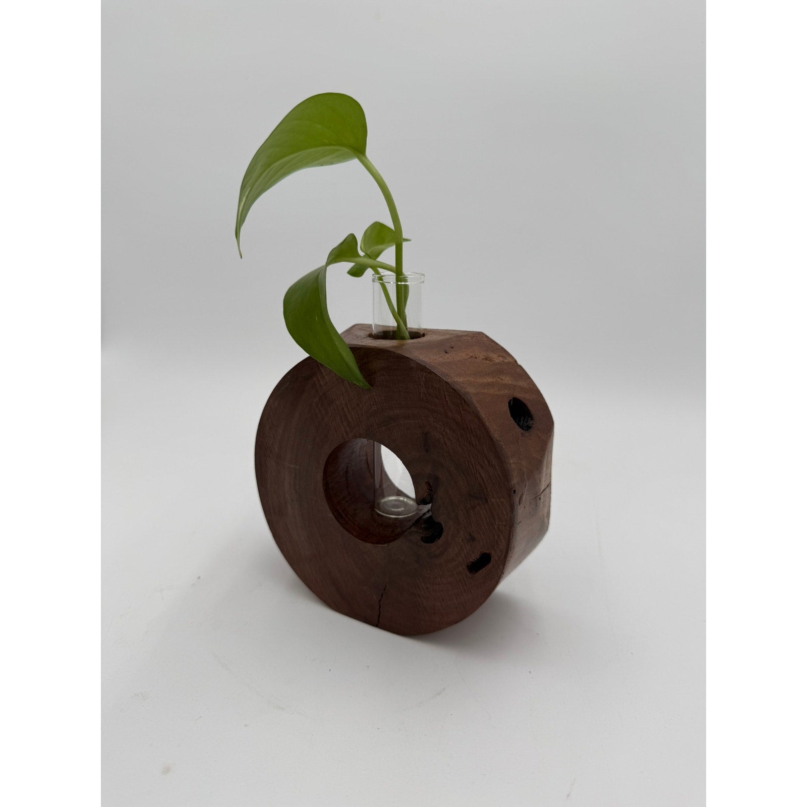Handcrafted Wood Propagation Station Vase, 6 x 2.5 in, glass tube bud vase, propagate cuttings, display dried florals