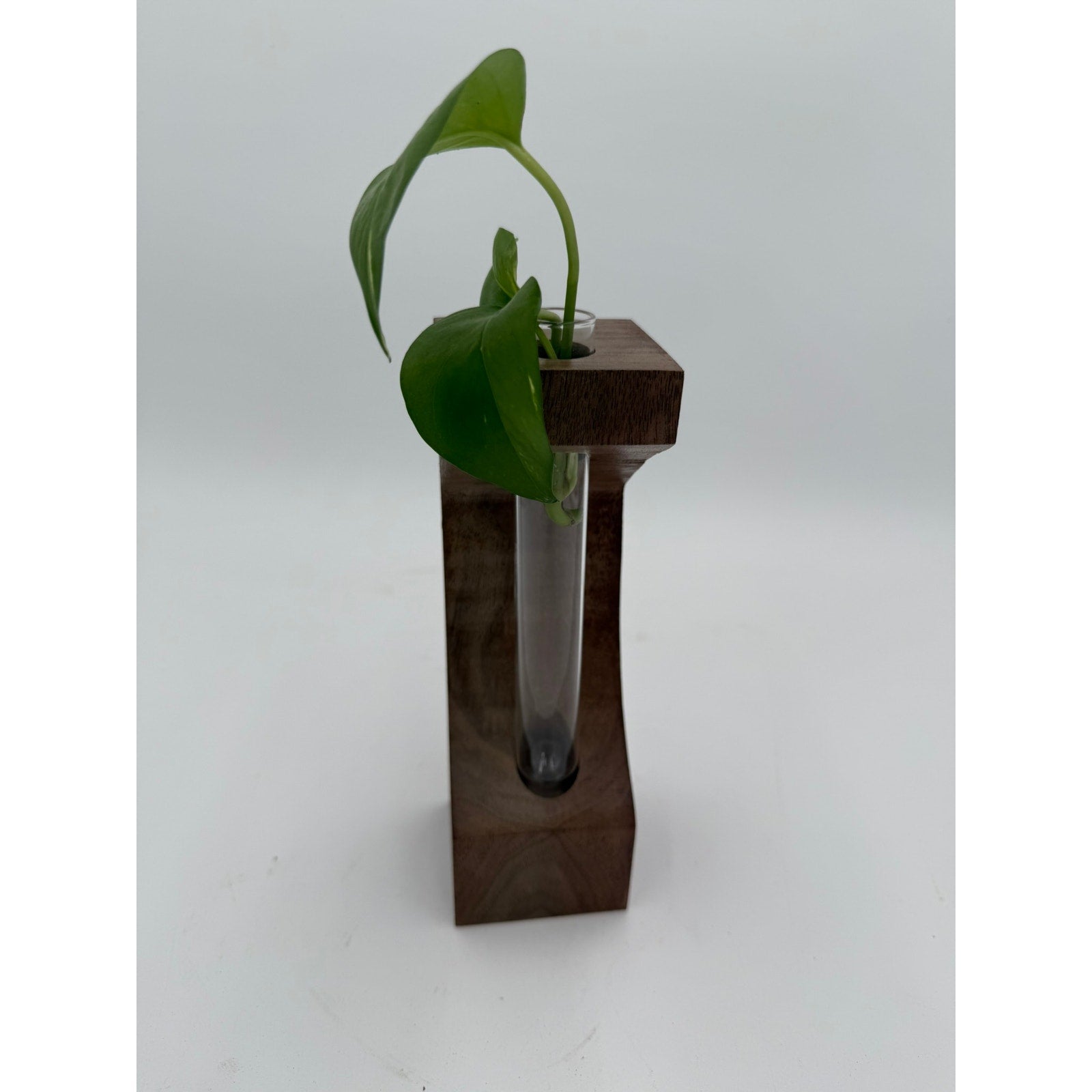 Walnut Propagation Station with Glass Tube, 3x3x9 inches, modern decor, functional bud vase, minimalist planter