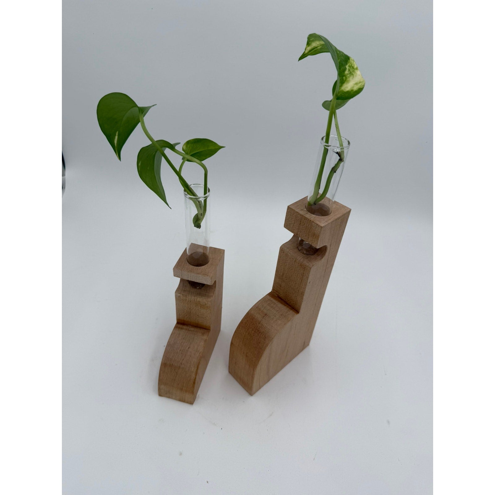 Maple Propagation Station Pair for Cuttings, contemporary wood bud vases, test tube planters, decorative duo, functional home decor