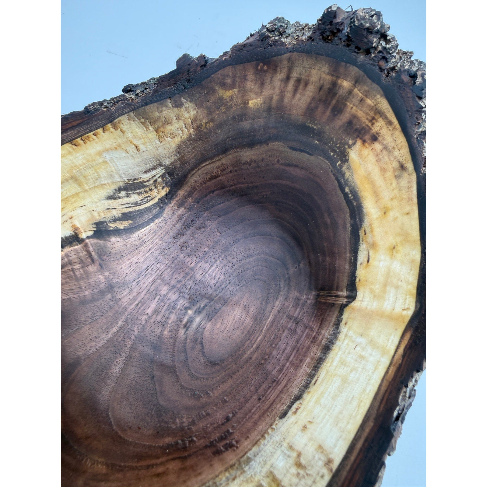Live Edge Walnut Bark Rim Hand Turned Bowl, 11x8 size, 4.5 in tall, food safe finish, rustic centerpiece, artisan made