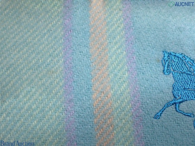 CURATED by Kira unused Celine green throw blanket with embroidered horse logo and soft striped wool texture