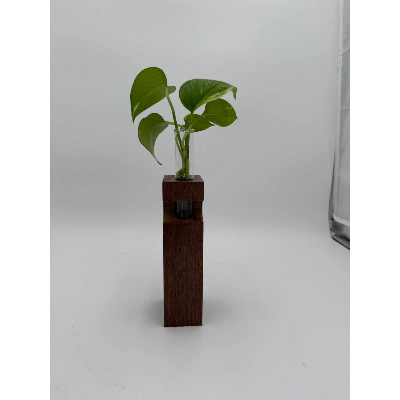 Walnut Propagation Station Block Vase, 2x3x10, contemporary minimal decor, test tube bud vase, functional gift