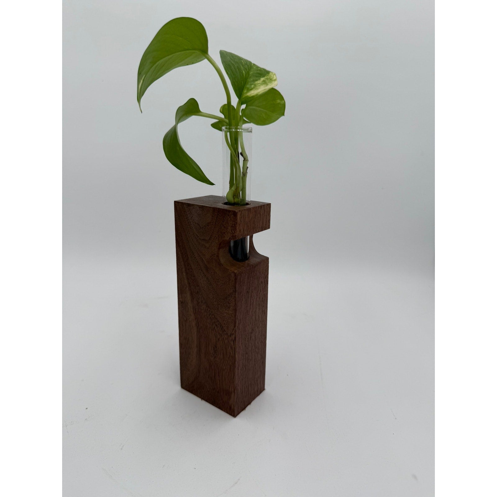 Walnut Propagation Station Block Vase, 2x3x10, contemporary minimal decor, test tube bud vase, functional gift