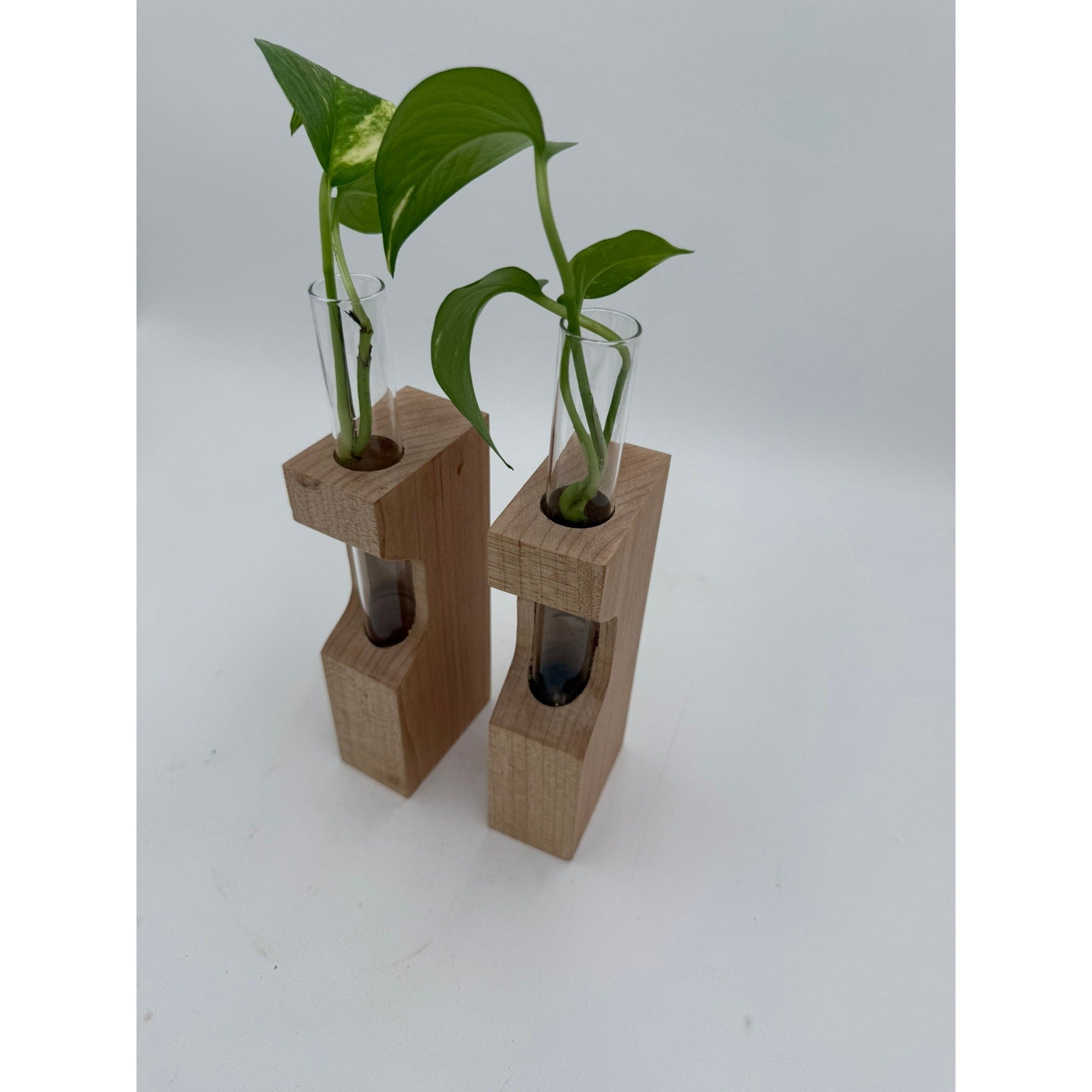 Maple Propagation Station Pair with Bud Vases, 3x1.75x10 inches, contemporary decor, functional, unique gift, test tube planters
