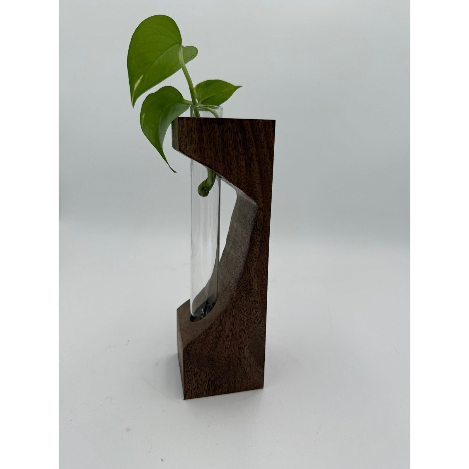 Walnut Propagation Station with Glass Tube, 3x3x9 inches, modern decor, functional bud vase, minimalist planter