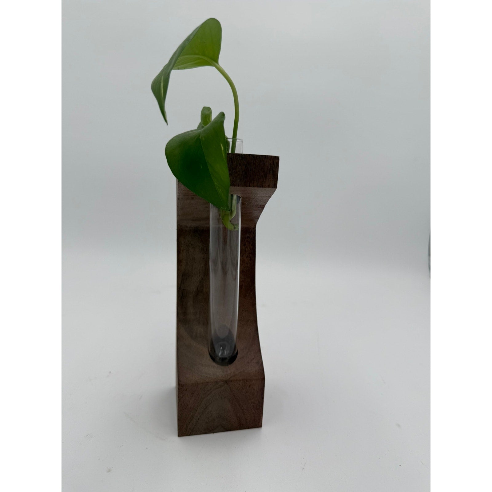 Walnut Propagation Station with Glass Tube, 3x3x9 inches, modern decor, functional bud vase, minimalist planter